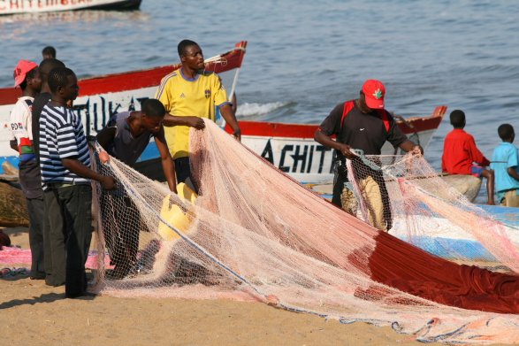 busy fisherman in senga bay.JPG